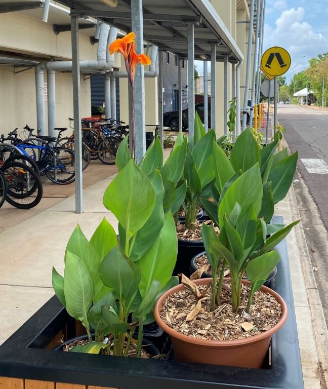 Planter boxes